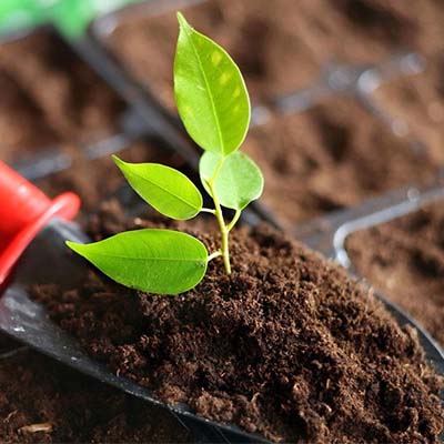 植物土壤肥效检测