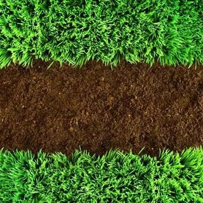 植物土壤肥效检测