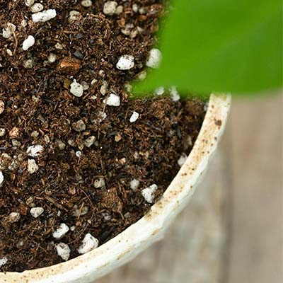 植物土壤肥效检测
