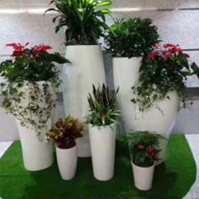 园林绿植租摆