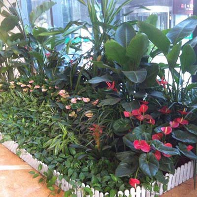 园林绿植租摆